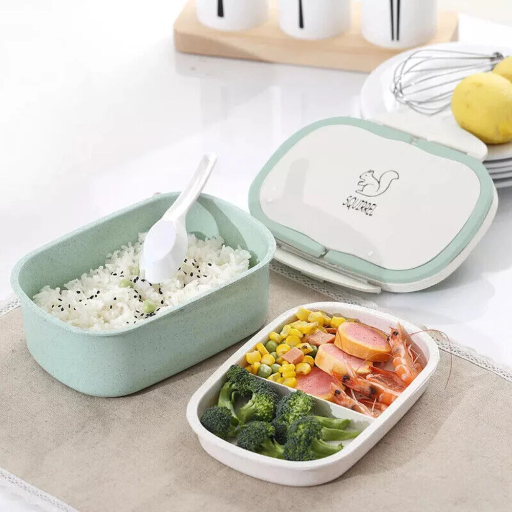 3 Compartment Box Lunch Warmer Adult Child Food Pantry